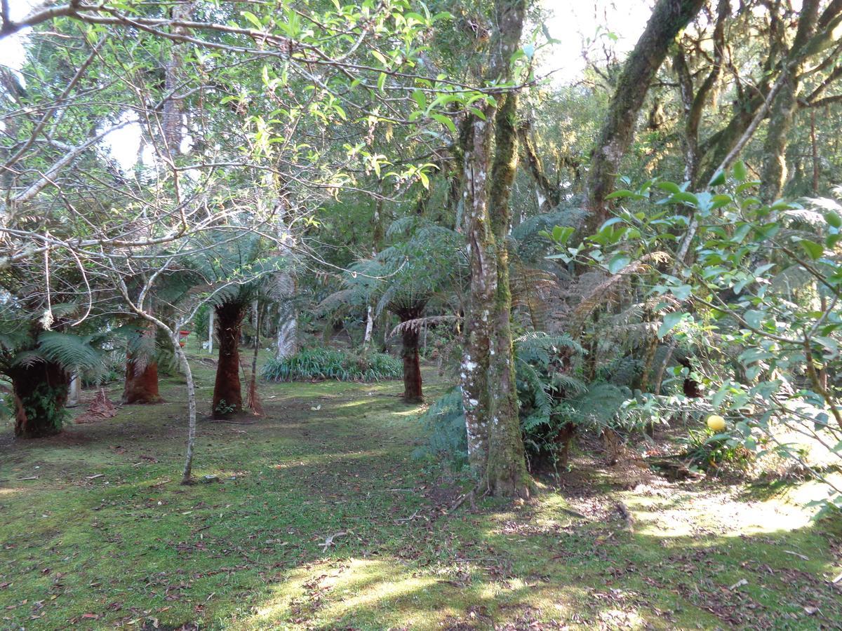 Villa Doce Mundo De Fatima à São Francisco de Paula Extérieur photo